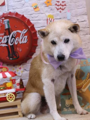 20230901シバタくん